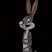 High Diving Hare 3 3