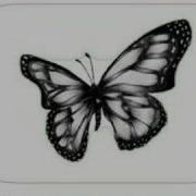 Geometric Active Contour Evolution For A Butterfly Image