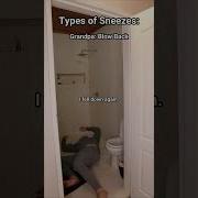 Types Of Sneezes
