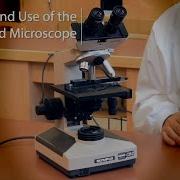 Compound Microscope Setup