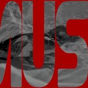 Mark Lux Muse