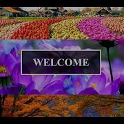 How To Change Background Image On Scroll Using HTML And CSS