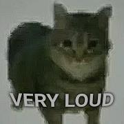 Oiiaoiia Spinning Cat Sound Variations In 60 Seconds