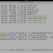 Linux Tutorial Series 188 Logical Operators