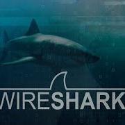 Wireshark Packet Analysis And Ethical Hacking Course