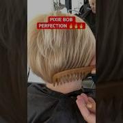 PIXIE BOB PERFECTION Full Tutorial Linked Below