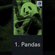 Top 7 Python Libraries For Data Science Shorts