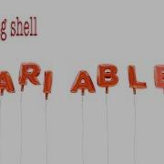 Listing Local And Environmental Shell Variables