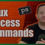 How To Use The Ps Command Linux Command Line Basics