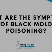 What Are The Symptoms Of Black Mold Poisoning