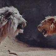 Mufasa Vs Kiros Final Fight Scene MUFASA THE LION KING 2024 Movie CLIP HD