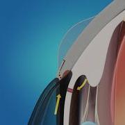 What Happens During Trabeculectomy Surgery