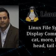 Linux File Display Commands Cat More Less Head Tail Etc