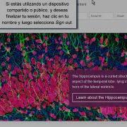 Tutorial Elsevier Registro E Inicio De Sesión En ScienceDirect