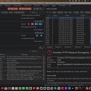 Мини серия Burp Extension HTTP Request Smuggler Bug Bounty Service LLC