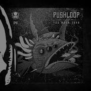 Pushloop Computer Takeover Duploc Com Premiere