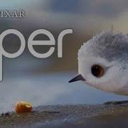 Disney Pixar PIPER Cute Motivational Short Movie