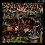 Yeah Yeah Yeahs Y Control