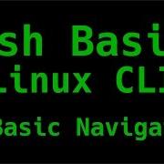 Basic Navigation Bash Basics Linux CLI