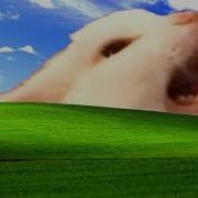 BEST MEMES And VINES COMPILATION 3