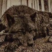 40 самых больших существ когда либо попавших в объектив