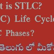 What Is STLC Life Cycle STLC Phase Manual Testing Tutorial For Beginners Tech Agent 2 0 Testing