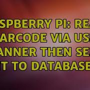 Raspberry Pi Read Barcode Via USB Scanner Then Send It To Database