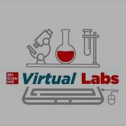 Tutorial Virtual Labs