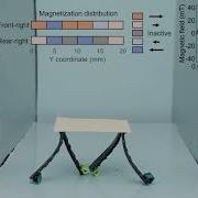 Machine Learning Guided Magnetic Soft Robot Design