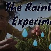 The RainDrop Experiment