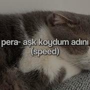 Pera Aşk Koydum Adını Speed