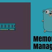 Memory Management In Golang