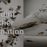 Houdini Tutorial Feather Animation In Houdini 21