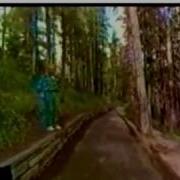 Immersion 1994 First Image Based Modeling