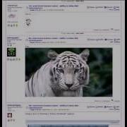 Inline Image Uploading