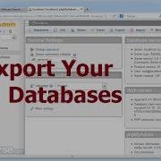 How To Export Your Database From Wampserver