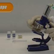 Science4you UK Microscope