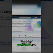 Microsoft Purview Collection Policies Explained Simply