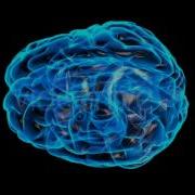 Transparent Brain Rotation 2