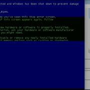 Windows XP Tour Getting BSOD VM Compilation 4 December 5 2021 Videos