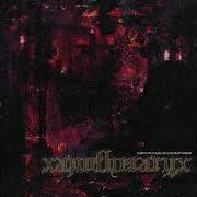 X Apothecary X Purity Of Flesh S P Oiled By Greed 2023 Full EP
