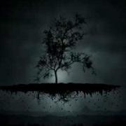 Dimrain47 Every End