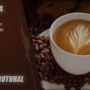 Java Estrutural Parte 01 IDE DrJava
