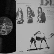 Dust From Dry Camel