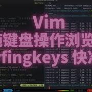 Surfingkeys Vim 方式纯键盘快速操作浏览器