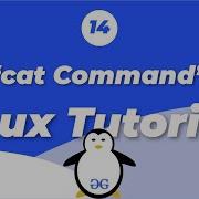 Linux Tutorials Cat A Versatile Command GeeksforGeeks