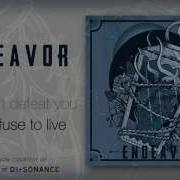 Endeavor Step Out Official
