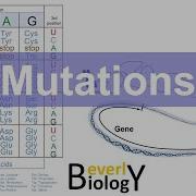 Mutations Updated