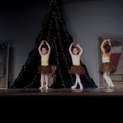 Nutcracker 12 Gingersnaps