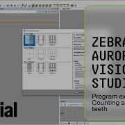 Program Example Counting Saw Blade Teeth Zebra